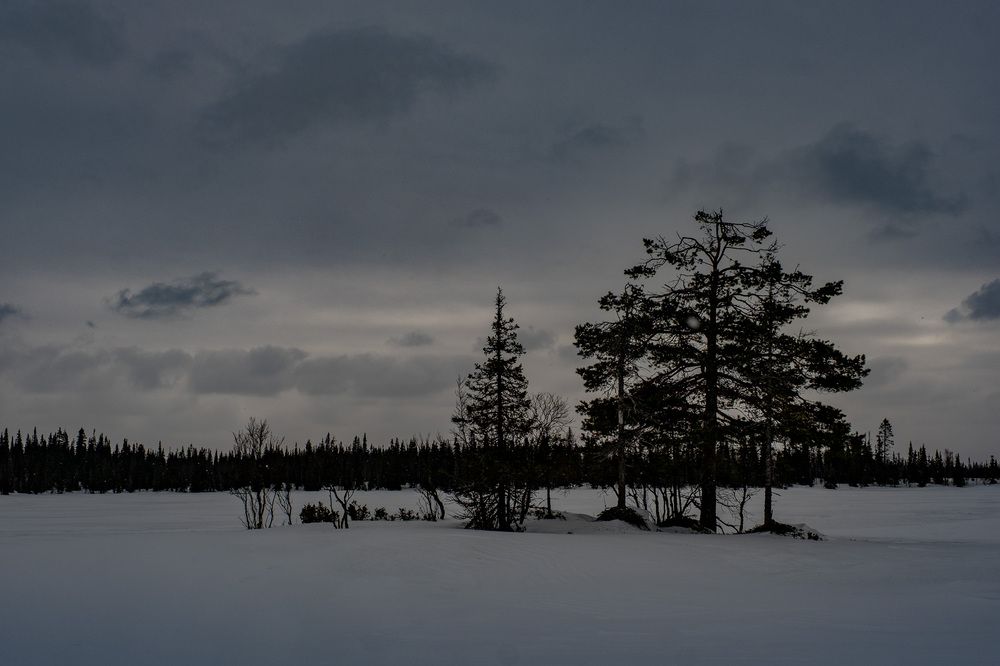Photograph by EVGENY FADIN