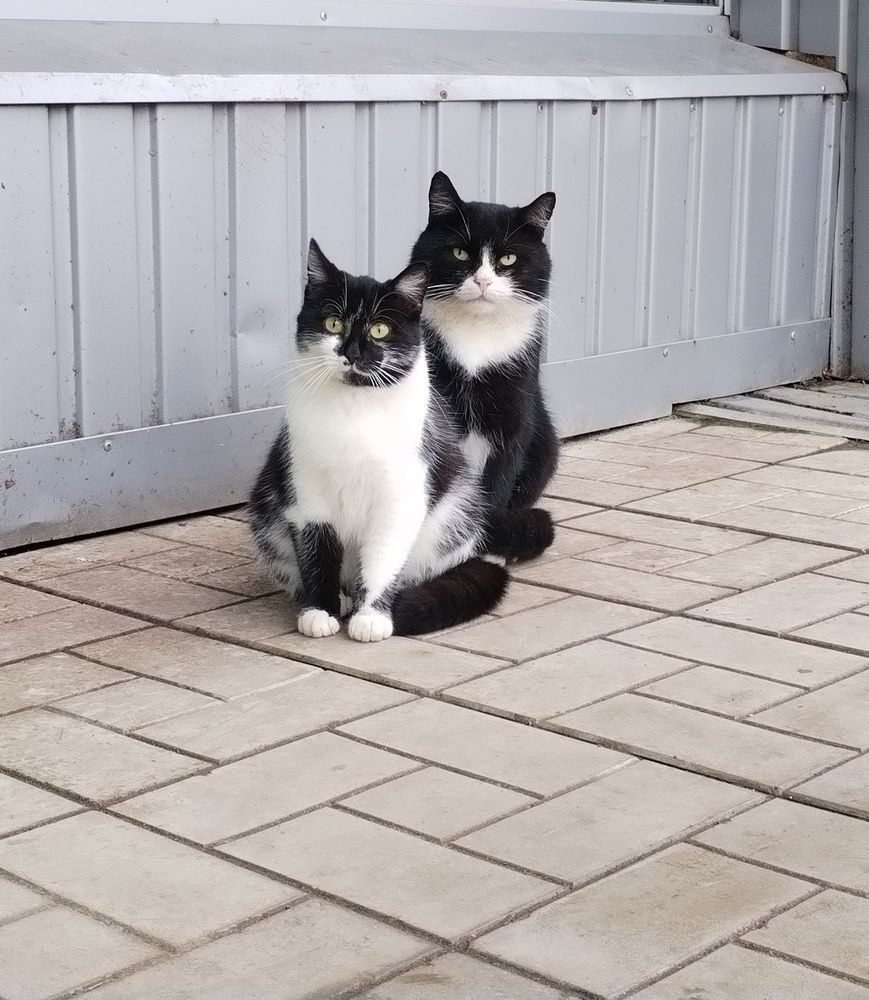 Photograph by Юлия Ю.