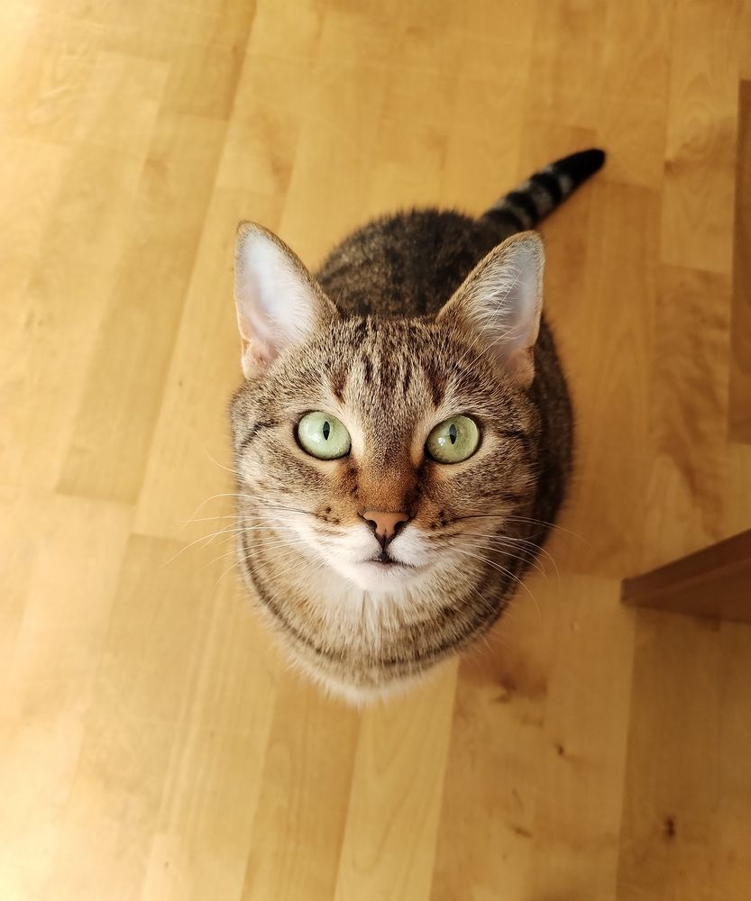 Photograph by Юлия Ю.