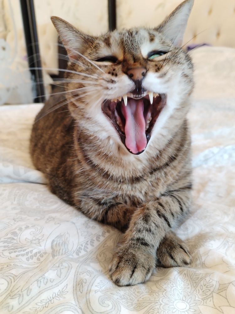 Photograph by Юлия Ю.