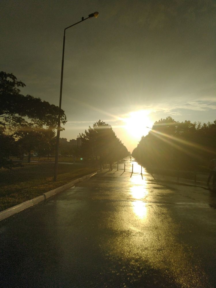 Фотография автора Анатолий Дячина