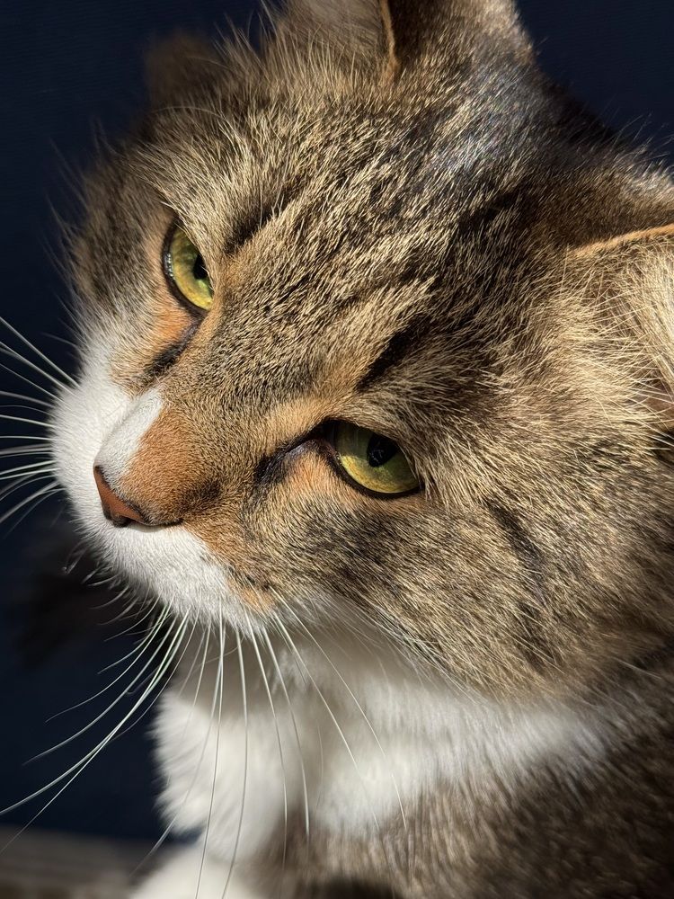 Photograph by Виктория Баева