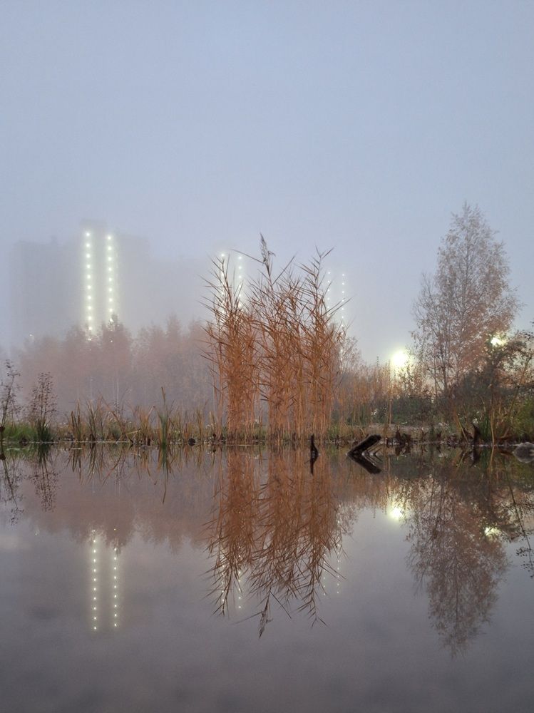 Photograph by Ольга Мольдон