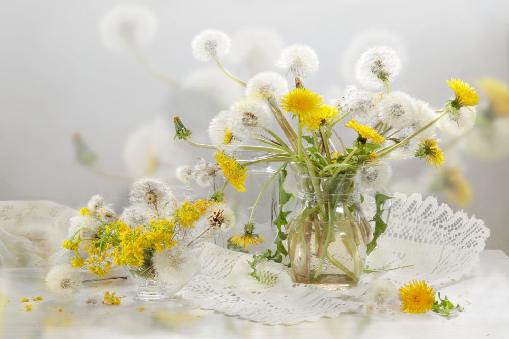 Photograph by Шруб (Беляева) Татьяна