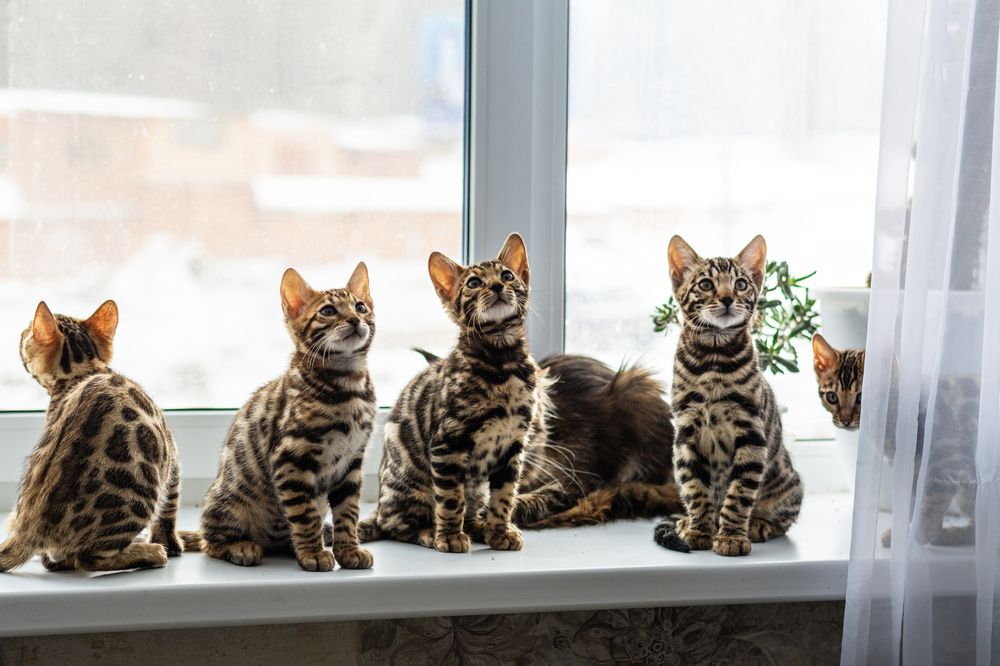 Photograph by Миша Азиатцев