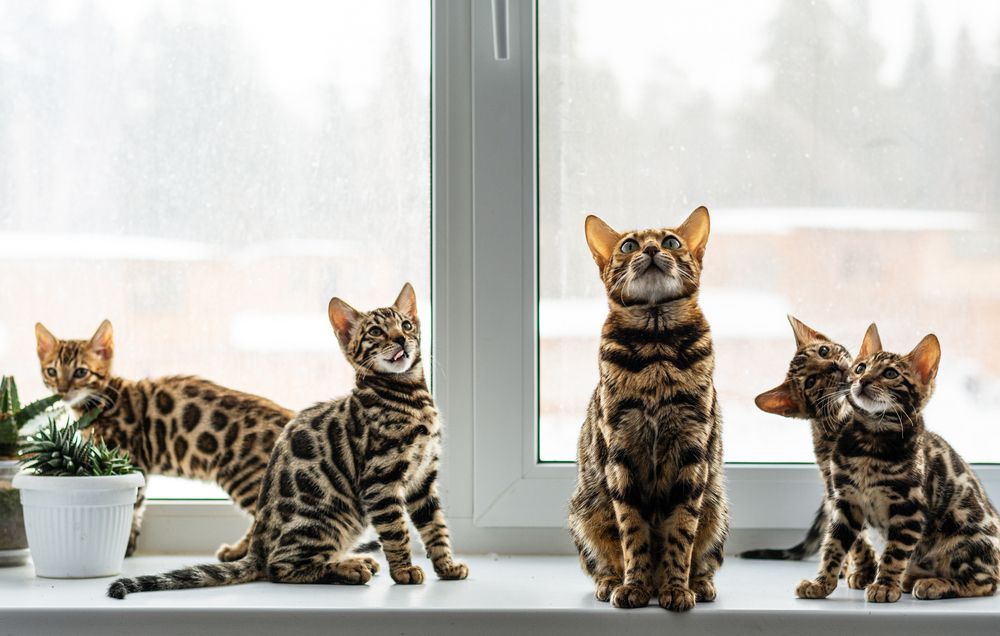 Photograph by Миша Азиатцев