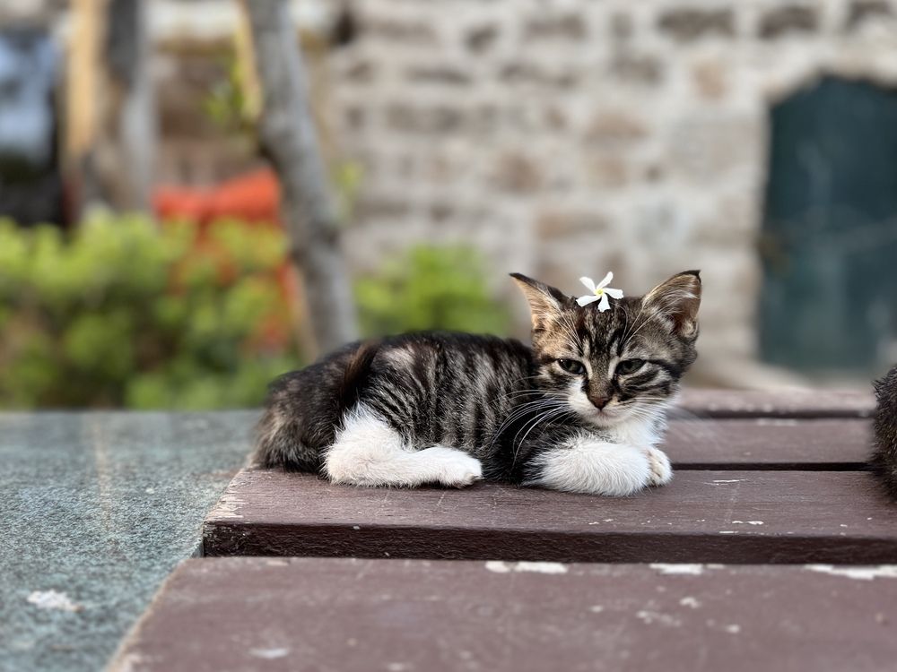 Photograph by Виктория Баева