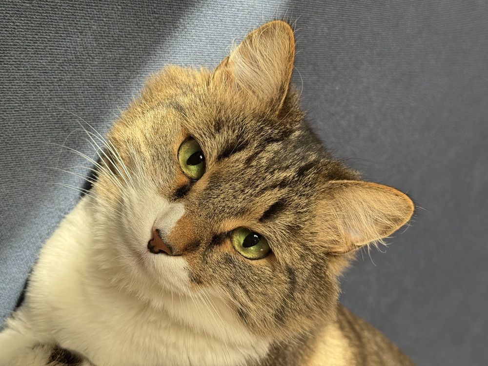 Photograph by Виктория Баева