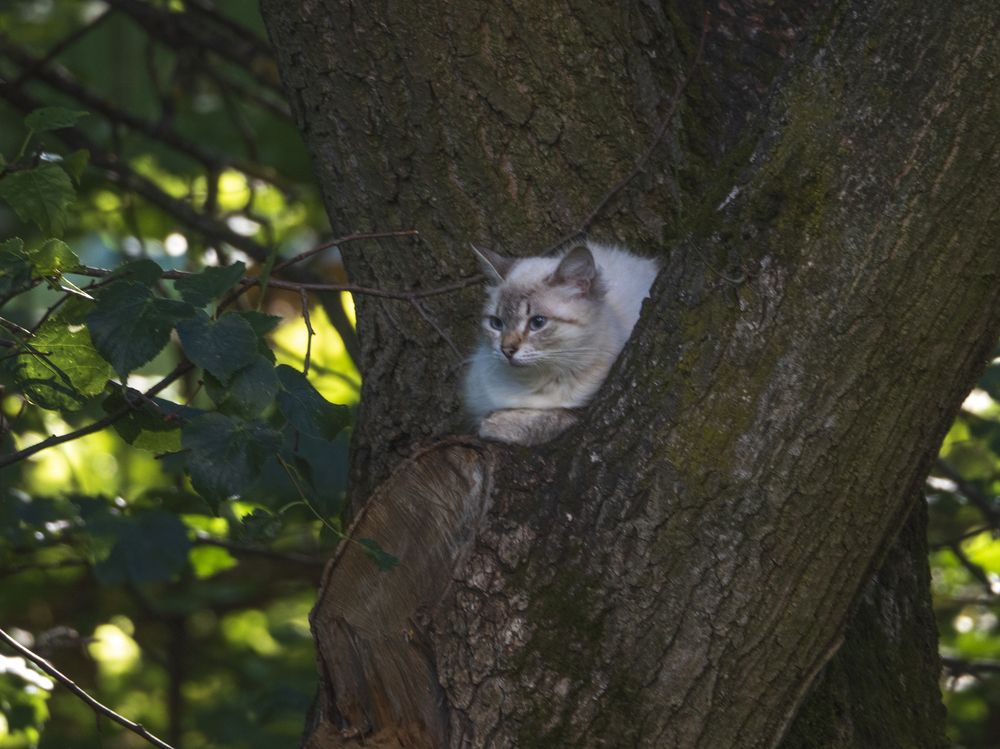 Photograph by Надежда Михайлина