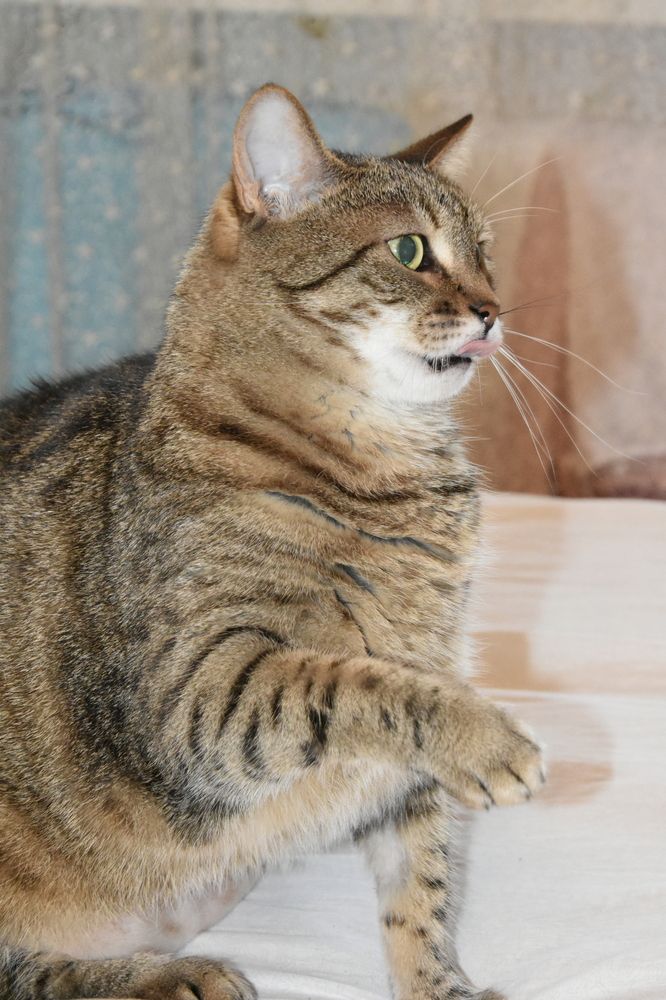 Photograph by Юлия Ю.