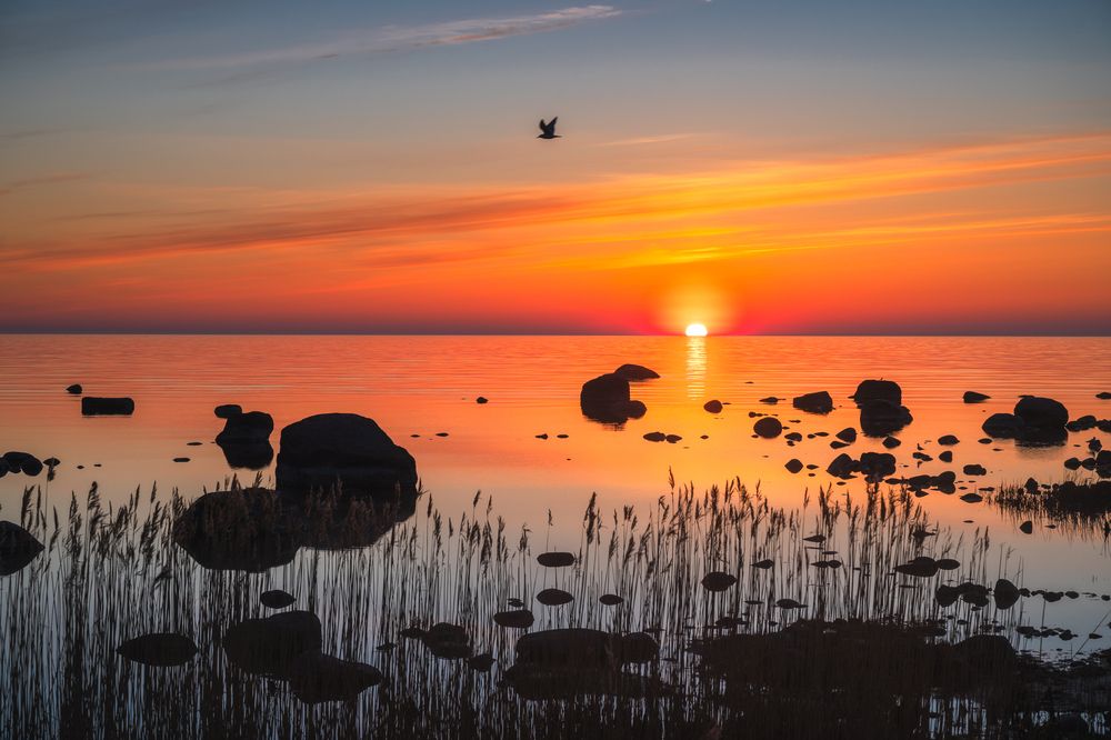 Photograph by Väle