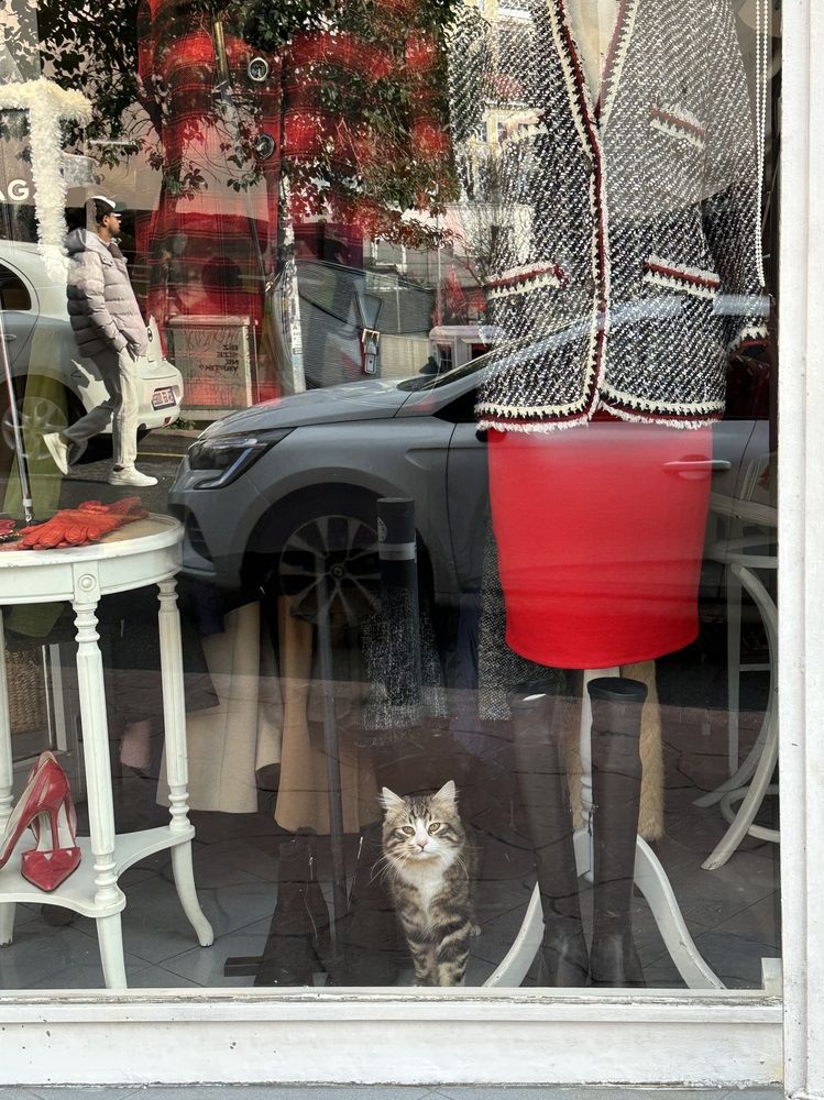 Photograph by Светлана Ионова