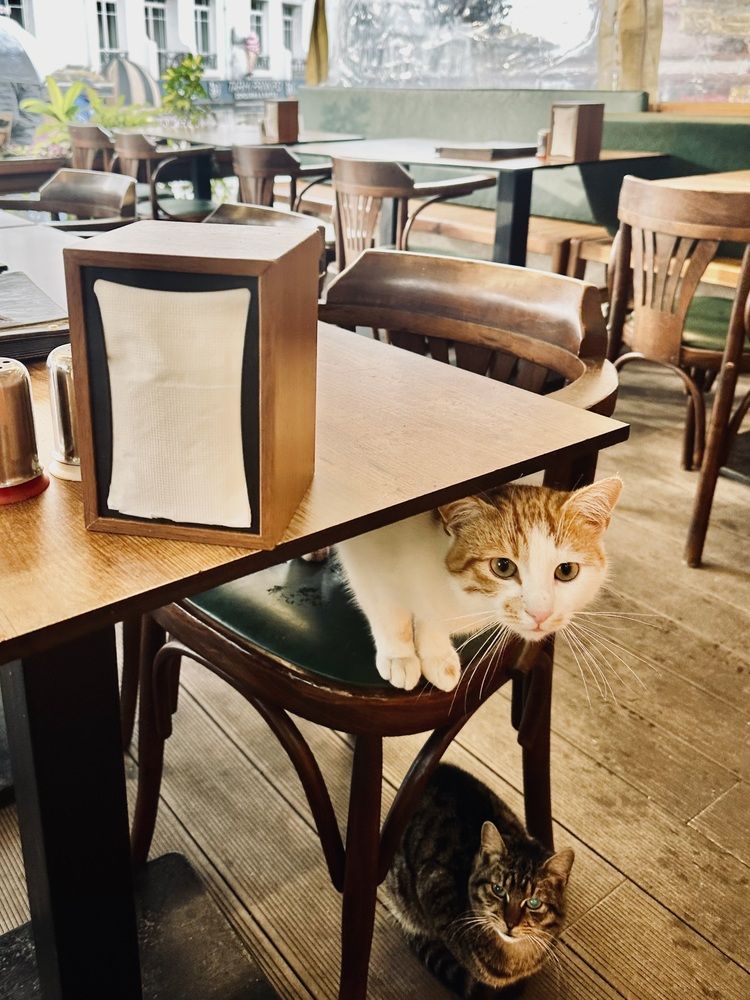 Photograph by Светлана Ионова