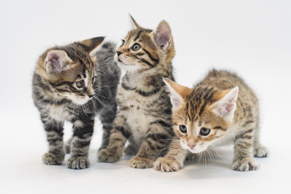 Photograph by Демьян Лопатов