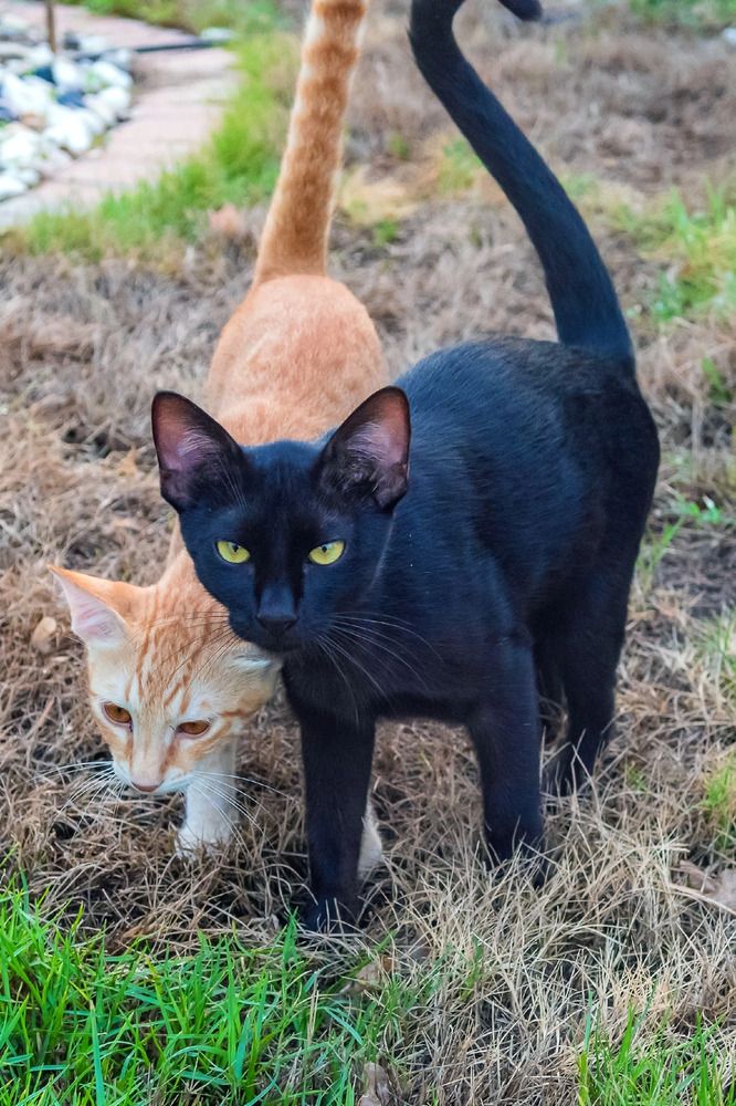 Photograph by Демьян Лопатов