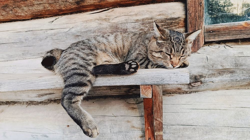 Photograph by Татьяна Пятернёва