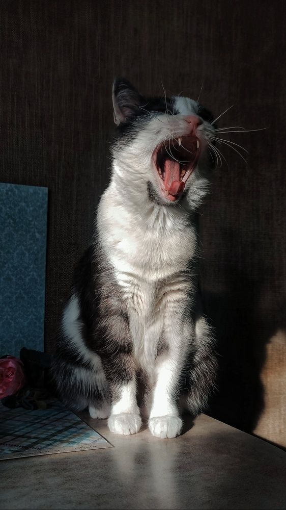 Photograph by Ирина Строкова