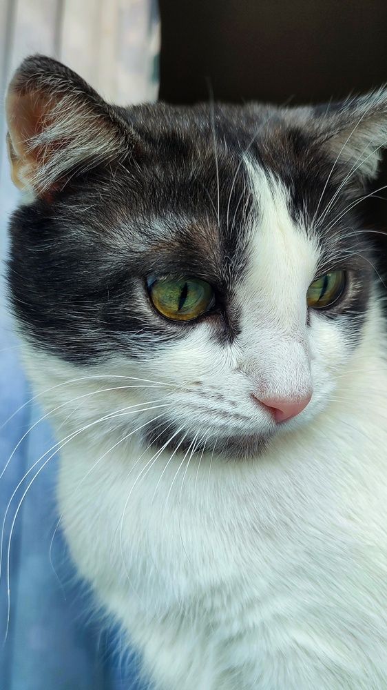 Photograph by Ирина Строкова