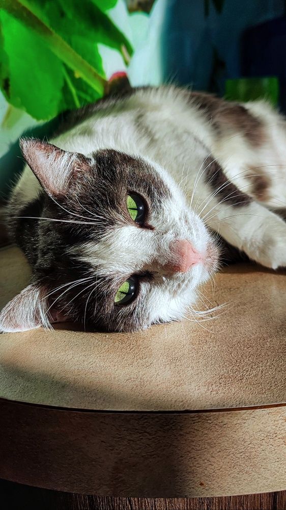 Photograph by Ирина Строкова