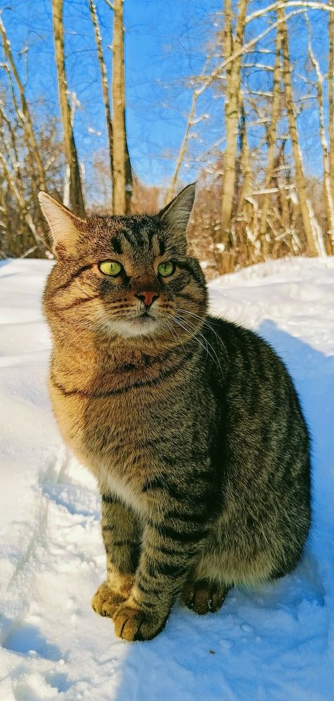 Photograph by Татьяна Пятернёва