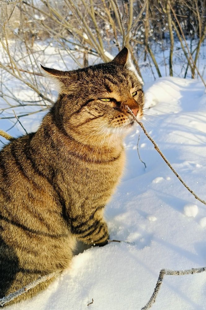 Photograph by Татьяна Пятернёва