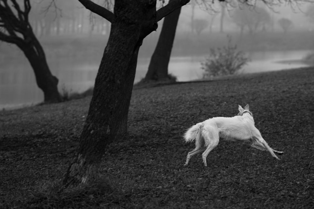 Photograph by Мария