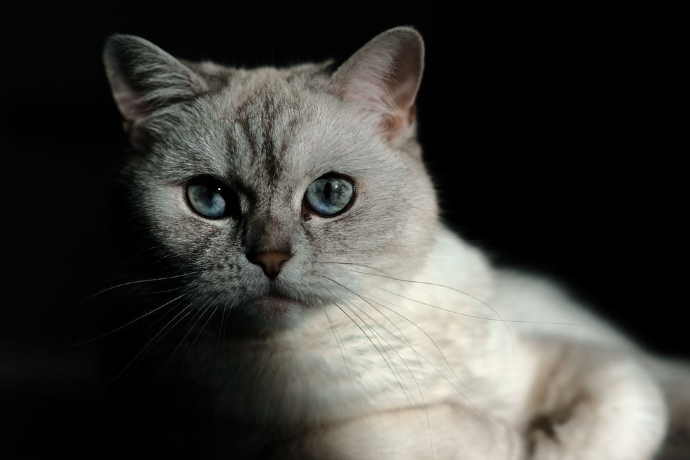 Photograph by Алексей Клейменов