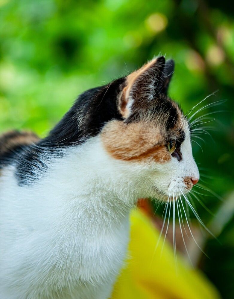 Photograph by Юлия Писарева