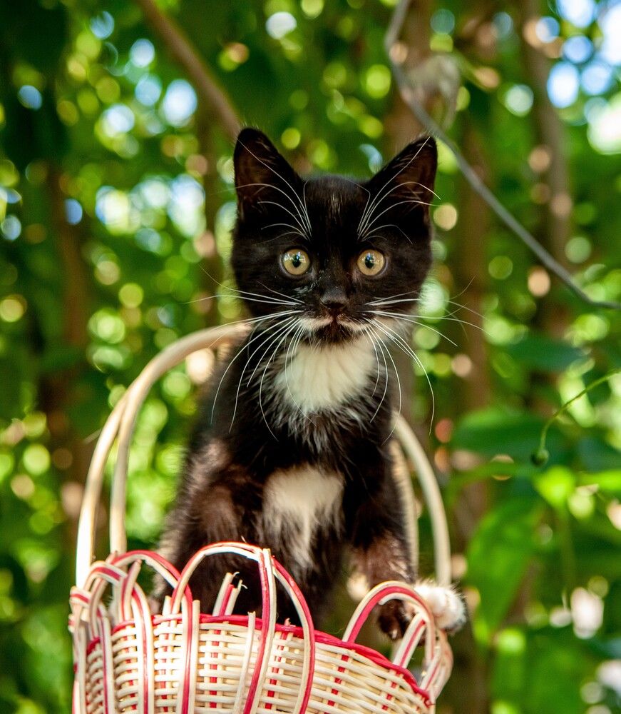 Photograph by Юлия Писарева