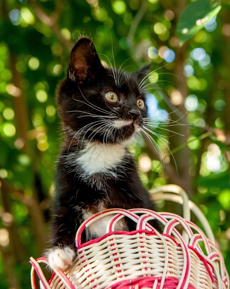 Photograph by Юлия Писарева