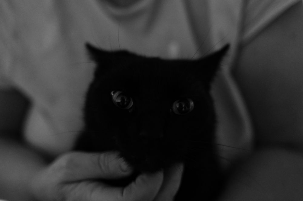 Photograph by Eva-Andrea Bodor
