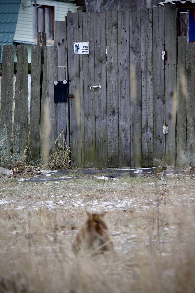 Photograph by Михаил Некрасов