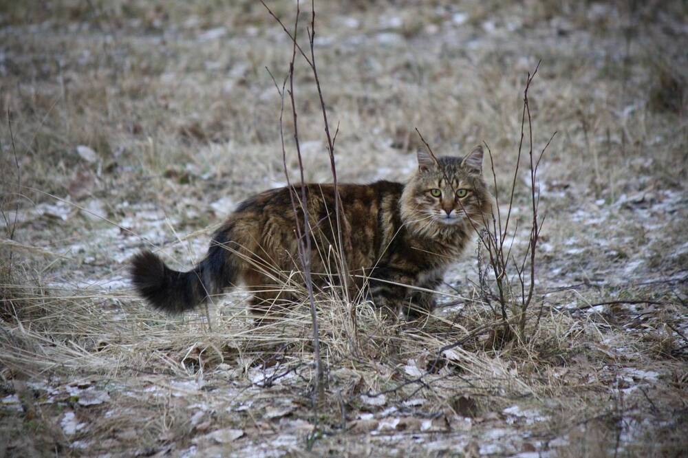 Photograph by Михаил Некрасов