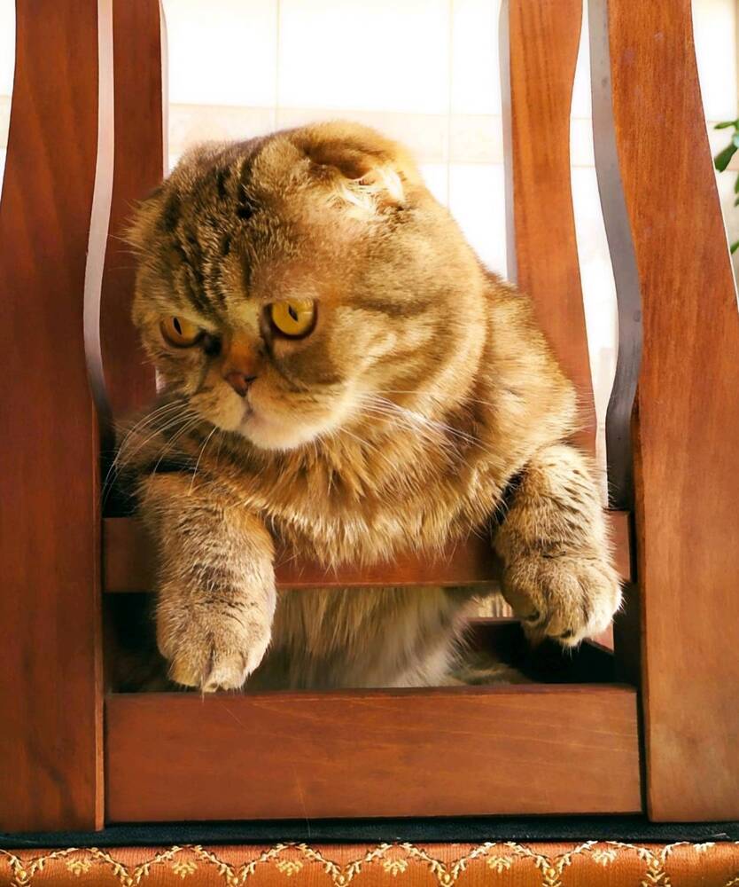 Photograph by Юлия Холомцева