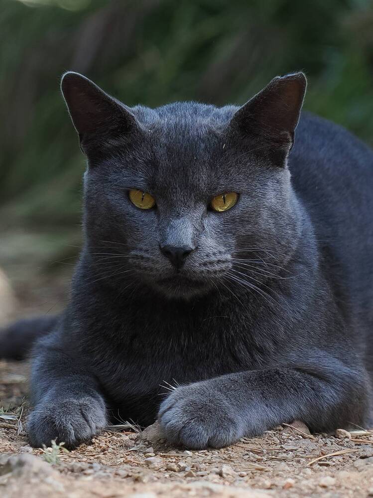 Photograph by Георгий Акопджанов