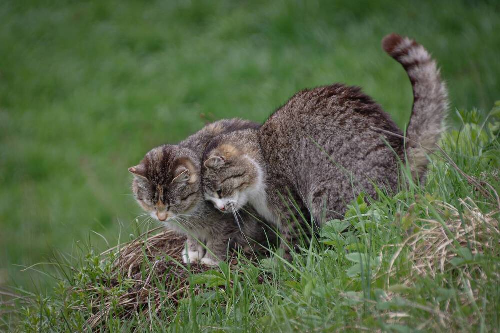 Photograph by Елена Щитова