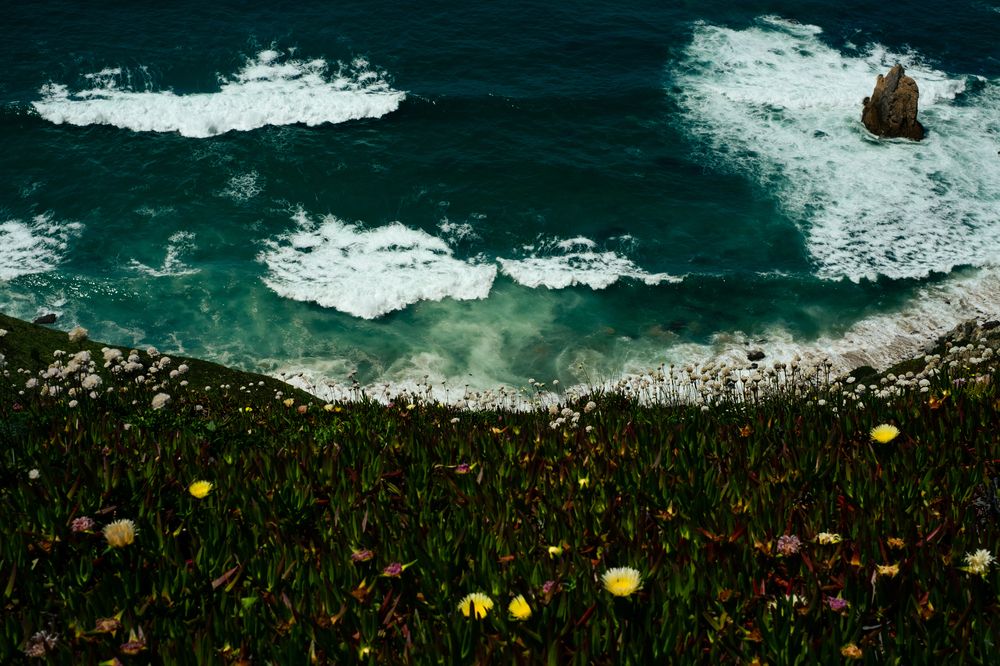 Photograph by Eva-Andrea Bodor