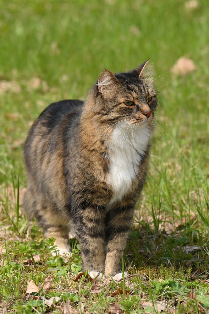 Photograph by Алексей