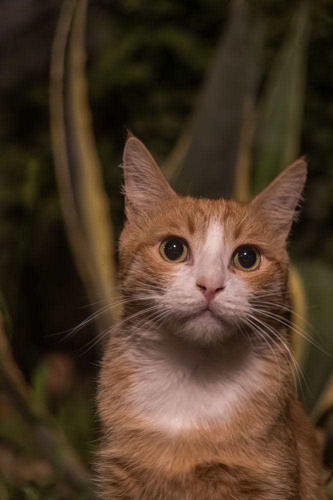 Photograph by Romina Moniri