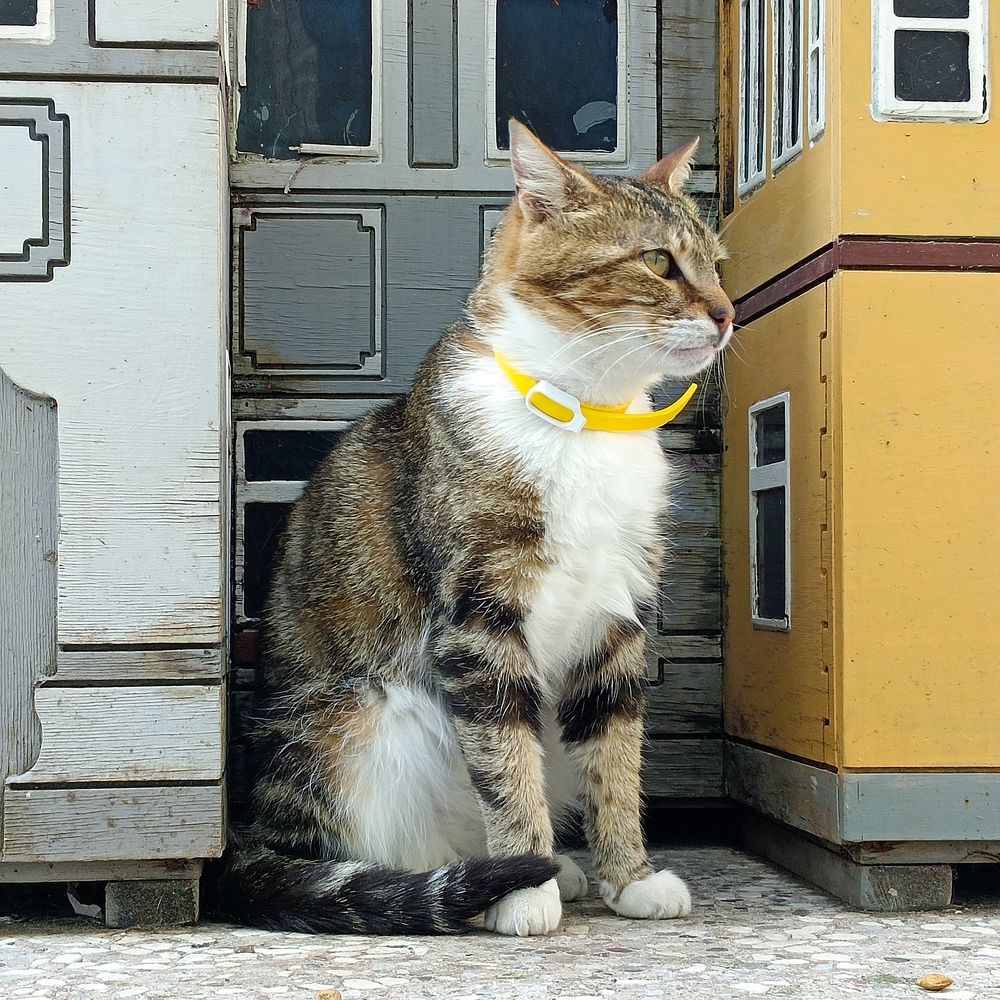 Photograph by Ирина Шведчикова