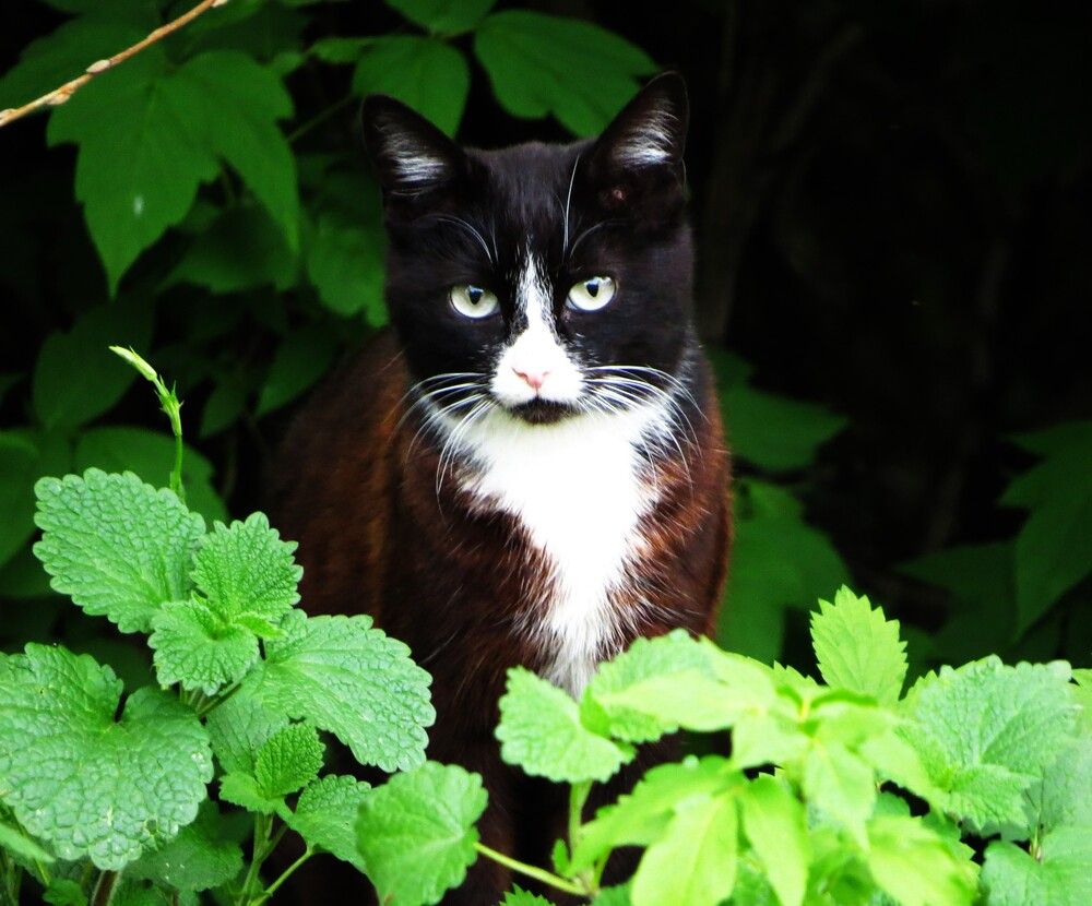 Photograph by Лариса Басова