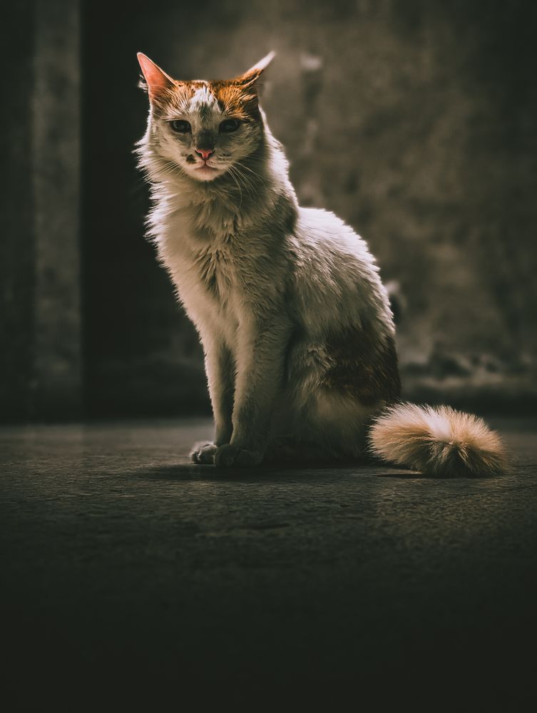 Photograph by Edwin Mijares