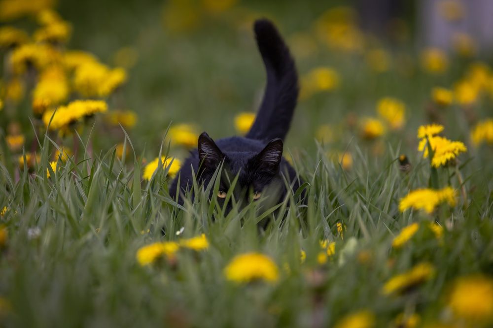 Photograph by Хабаров Сергей