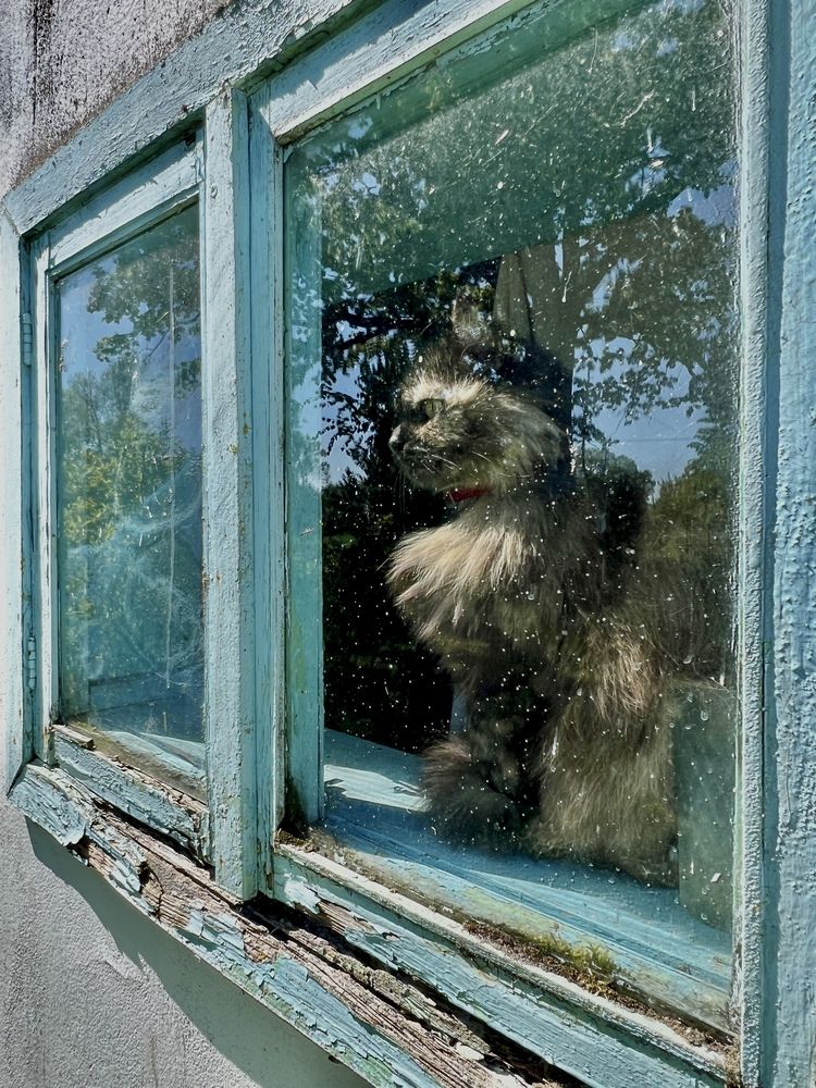 Photograph by Олеся Королева