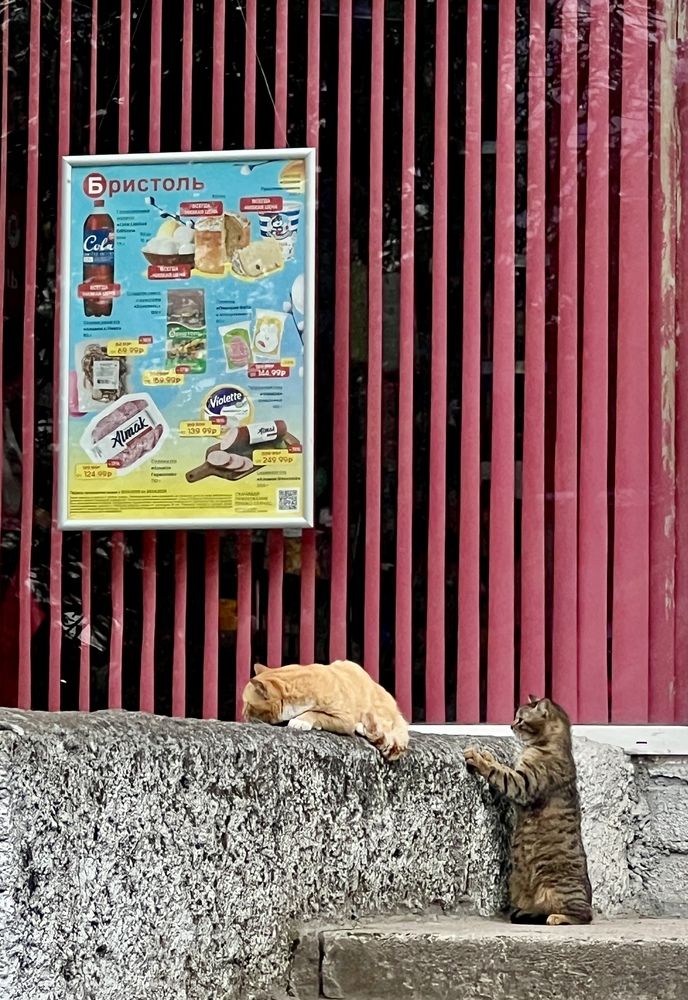 Photograph by Олеся Королева