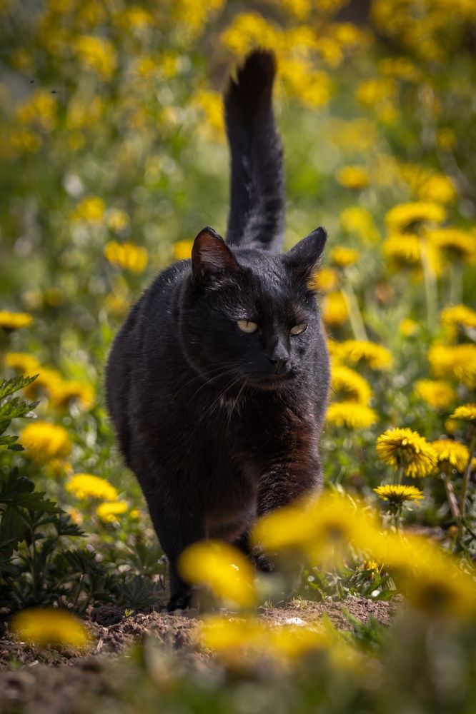 Photograph by Хабаров Сергей