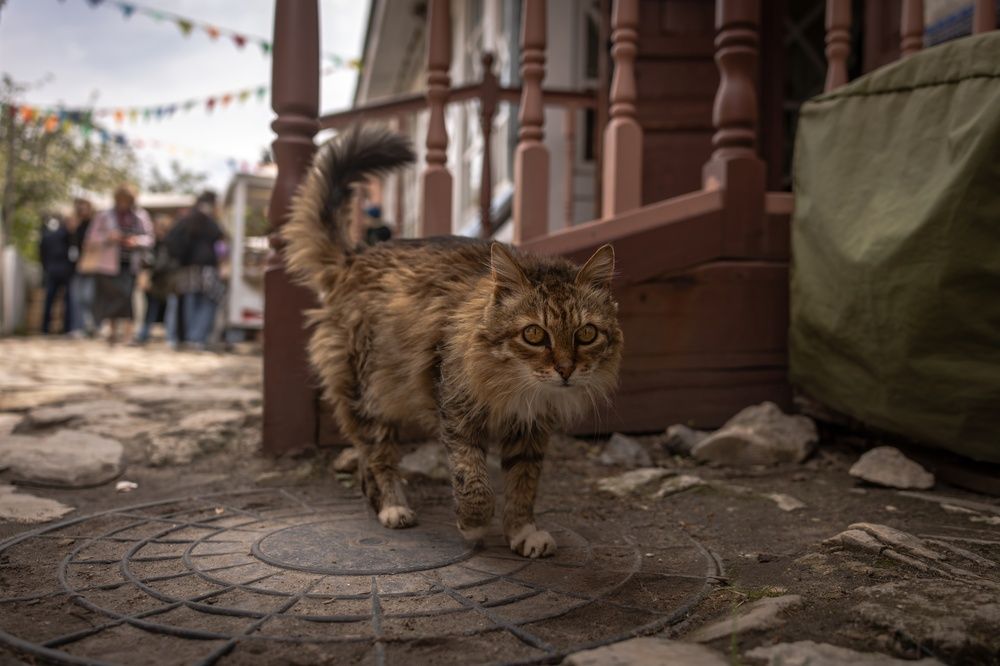 Photograph by Хабаров Сергей