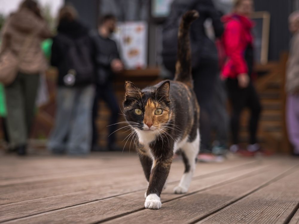 Photograph by Хабаров Сергей