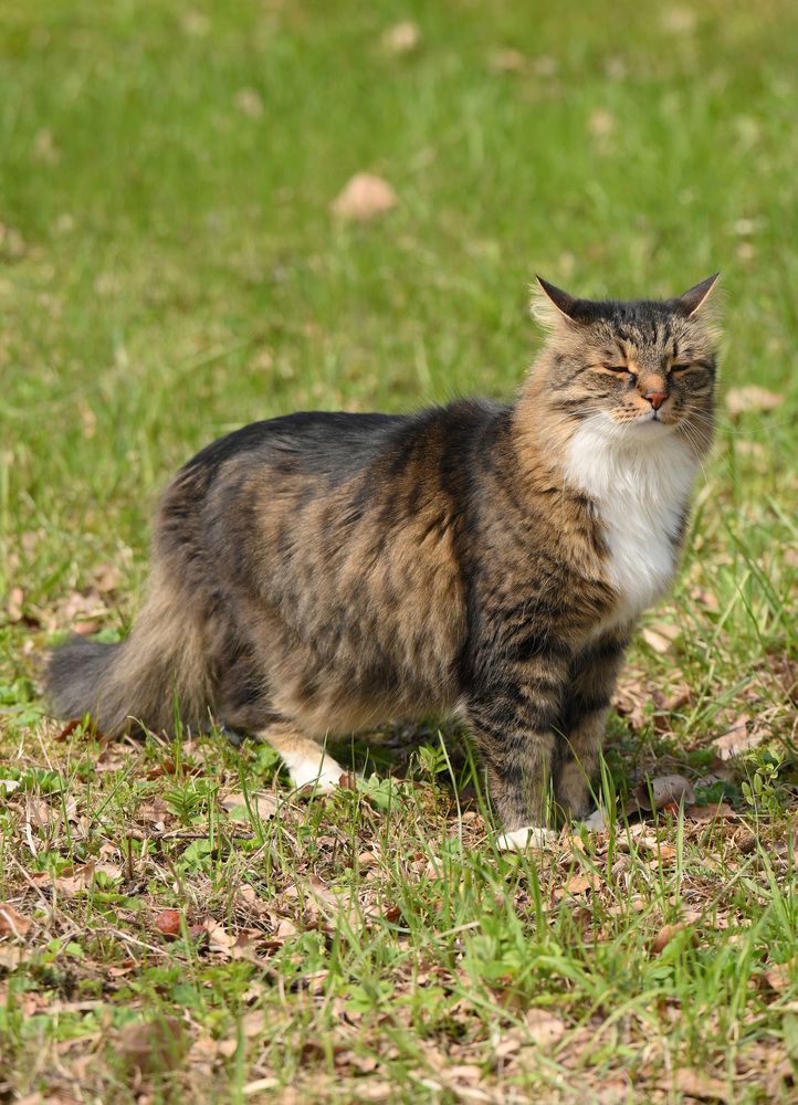 Photograph by Алексей