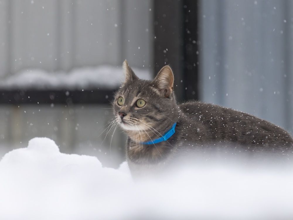 Photograph by Хабаров Сергей